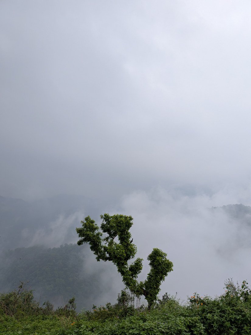 The serene view and calm wind lighten the burden of my heart