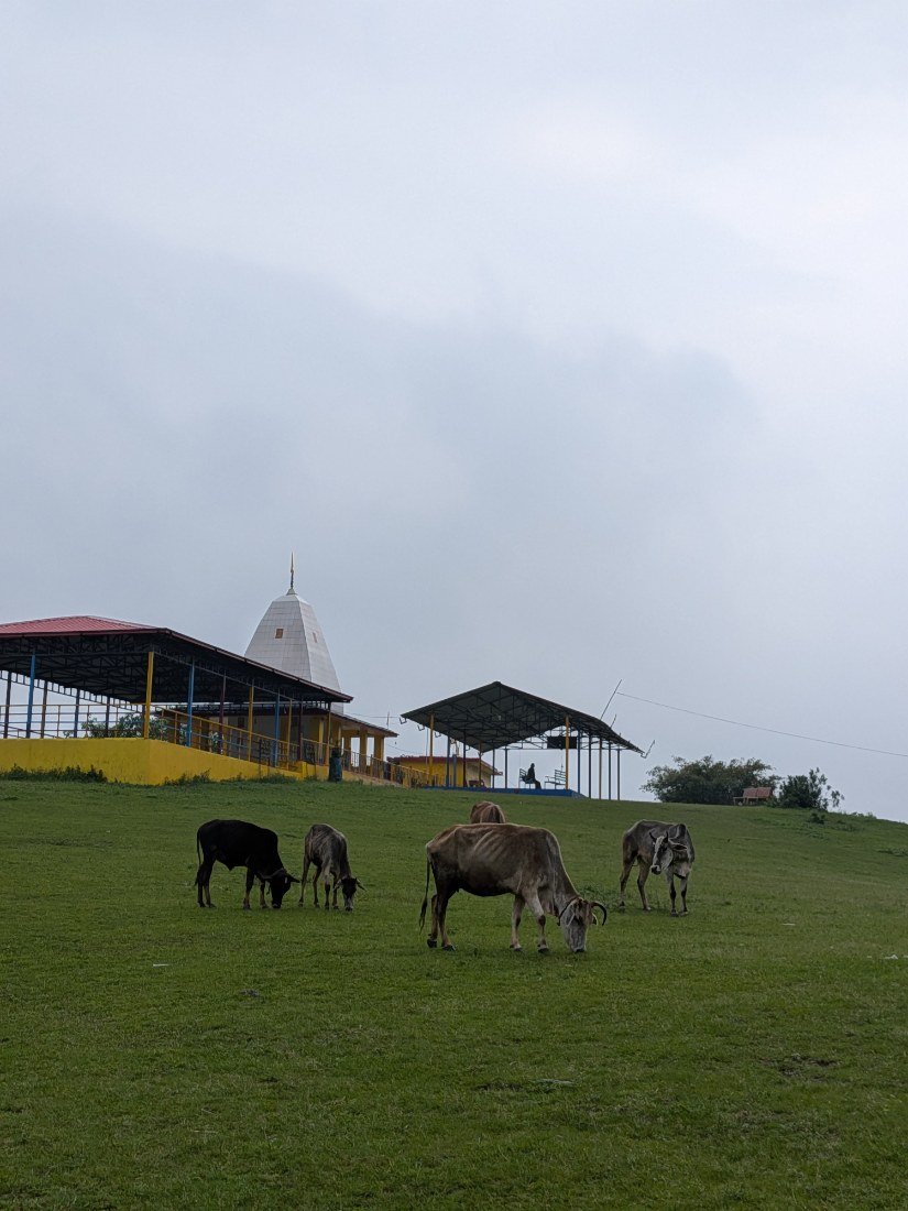 Dehradun through a traveller’s eyes